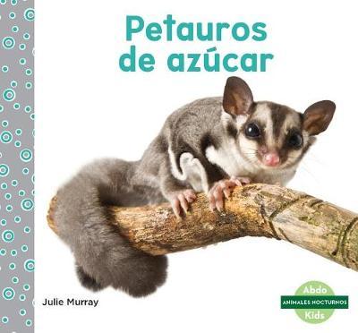 Petauros De Azucar/ Sugar Glider