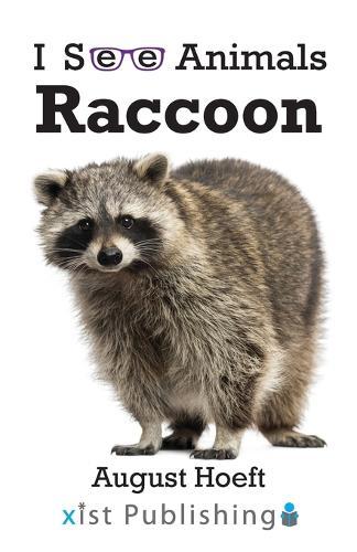 Raccoon