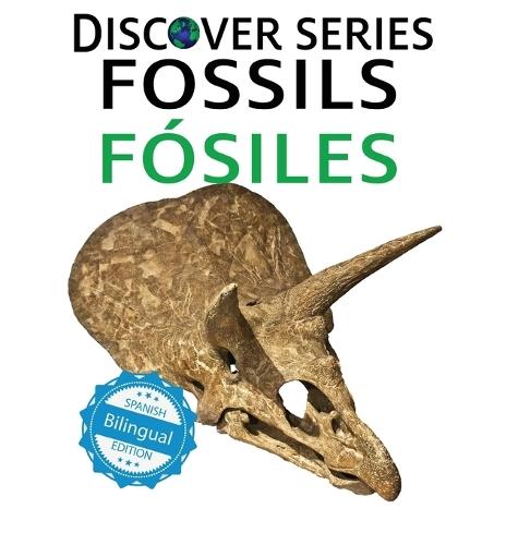 Fossils / Fósiles