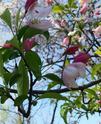 Your Webinar Notebook! Vol. 15: The perfect handy dandy webinar note taking place