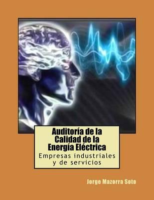 Auditoria de la Calidad de la Energia Electrica: Empresas industriales y de servicios