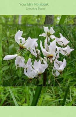 Your Notebook! Shooting Stars: A journal with lovely shooting stars dancing on the cover