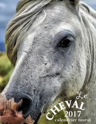 Le Cheval 2017 Calendrier Mural (Edition France)