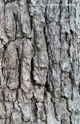 Your Notebook! Afternoon escapes: simply torrid