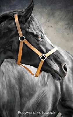 Password Notebook: Small Internet Address and Password Logbook / Journal / Diary - Black Horse Cover