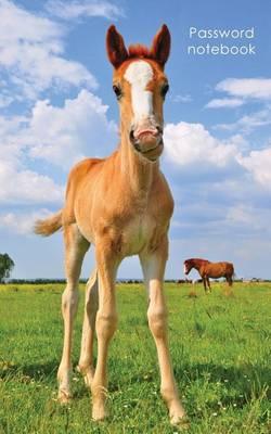 Password Notebook: Small Internet Address and Password Logbook / Journal / Diary - Cute Foal Cover