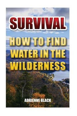 Survival: How to Find Water in the Wilderness
