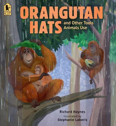 Orangutan Hats and Other Tools Animals Use