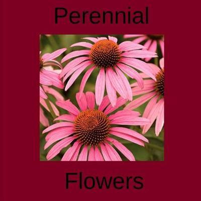 Perennial Flowers: Perennial flower types for your garden