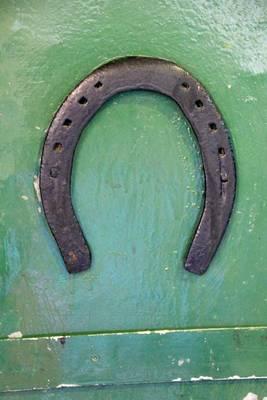 Lucky Horseshoe Journal: 150 Page Lined Notebook/Diar