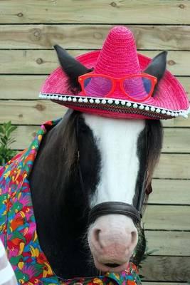 Horse in a Hat Journal: 150 Page Lined Notebook/Diary