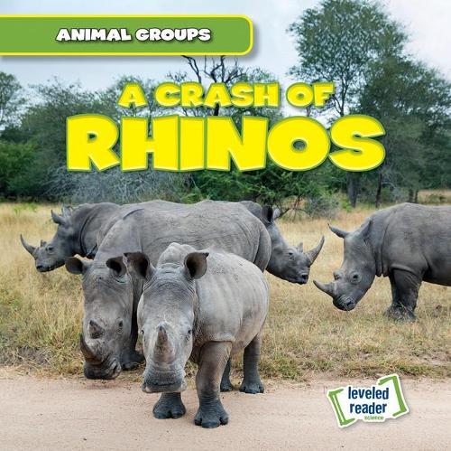 A Crash of Rhinos