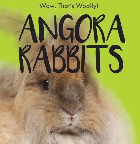 Angora Rabbits