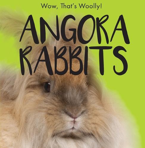 Angora Rabbits