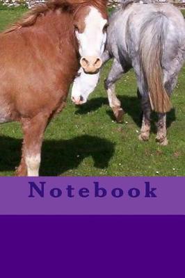 Notebook: Welsh Mountain Section A pony notebook