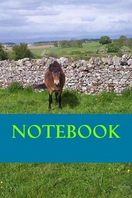 Notebook: Exmoor pony note book