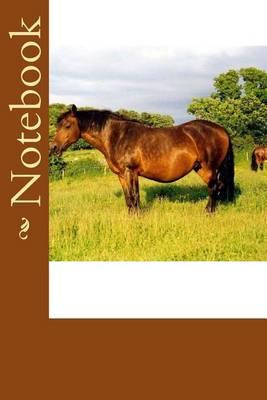 Notebook: Cleveland Bay horse notebook