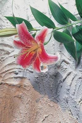 Orchid Journal: 365 Day Journal Diary Notebook