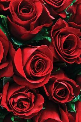 Wild and Red Blank Book: 150 page SketchBook ScrapBook Notebook