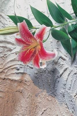 Orchid Blank Book: 150 page SketchBook ScrapBook Notebook