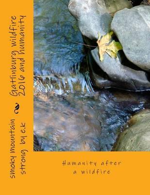 Gatlinburg wildfire 2016 and humanity: Humanity after a wildfire