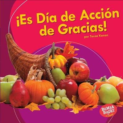 !Es Dia de Accion de Gracias! (It's Thanksgiving!)