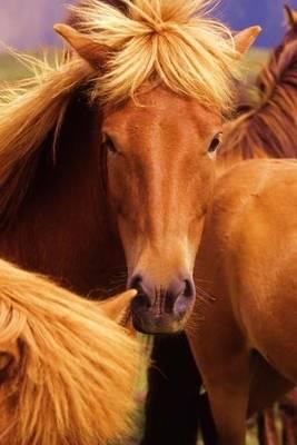Lovely Icelandic Horse Portrait Jounal: 150 Page Lined Notebook/Diary