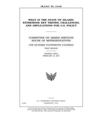 U.S. POLICY AND STRATEGY IN the MIDDLE EAST