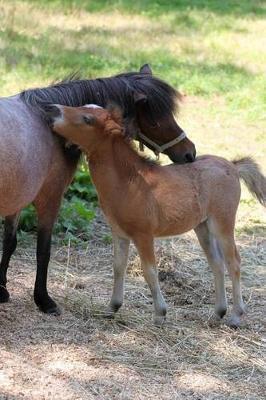 Miniature Mother Horse and Baby Foal in a Pasture Journal: 150 Page Lined Notebook/Diary