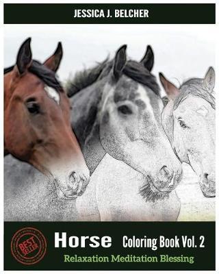 Horse Coloring Books Vol.2 for Relaxation Meditation Blessing: Sketches Coloring Book