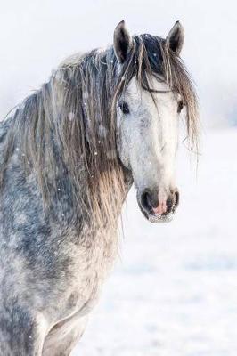 Portrait of a Magnificent Gray Shire Stallion Horse Journal: 150 Page Lined Notebook/Diary