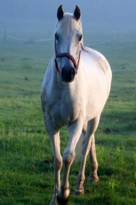 Equine Journal White Horse Galloping Across Field: (Notebook, Diary, Blank Book)