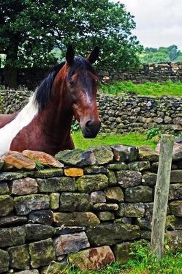 Brown and White Horse Looking over a Stone Wall North Yorkshire England Journal: 150 Page Lined Notebook/Diary