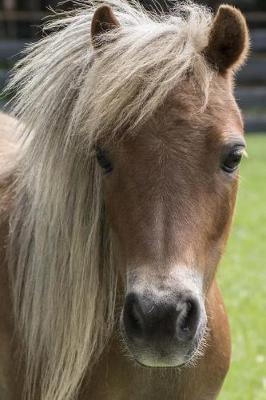 So Very Pretty Miniature Horse Journal: 150 Page Lined Notebook/Diary