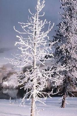 Journal Snow Covered Tree: (Notebook, Diary, Blank Book)