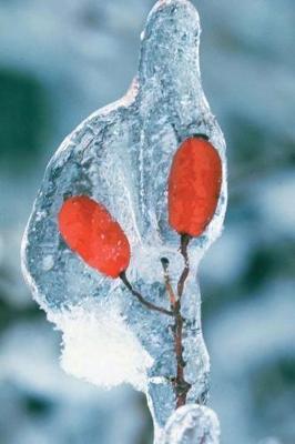 Journal Ice Covered Winter Flower: (notebook, Diary, Blank Book)