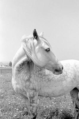 Equine Journal Dappled Grey At Pasture: (Notebook, Diary, Blank Book)