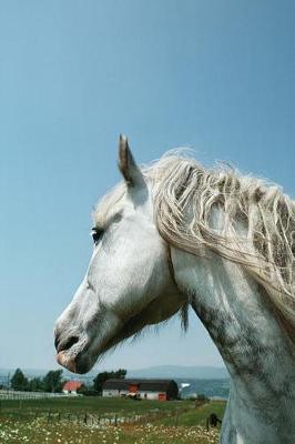 Equine Journal Gazing Dappled Grey: (Notebook, Diary, Blank Book)