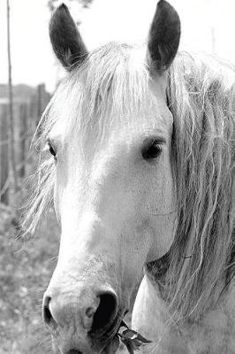 Equine Journal Horse With Grass: (Notebook, Diary, Blank Book)