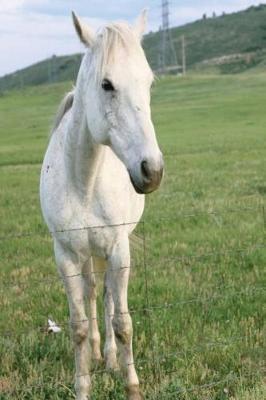 Equine Journal Lone White Horse: (notebook, Diary, Blank Book)
