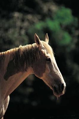 Equine Journal Old Pinto: (Notebook, Diary, Blank Book)