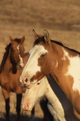 Equine Journal Pinto Herd: (Notebook, Diary, Blank Book)
