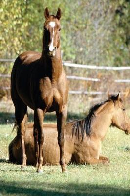 Equine Journal Two Horses At Pasture: (Notebook, Diary, Blank Book)