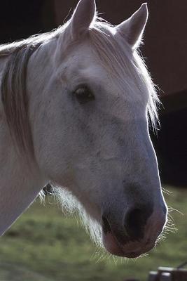 Equine Journal White Horsehead: (Notebook, Diary, Blank Book)