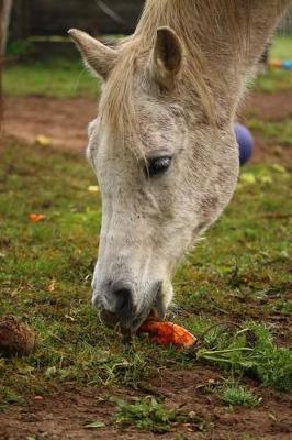 A Pretty Horse Snacking on an Orange Carrot Journal: 150 Page Lined Notebook/Diary