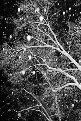 Journal Snow Among Branches: (Notebook, Diary, Blank Book)