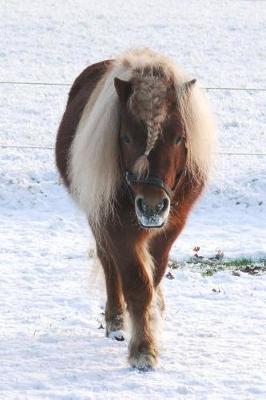Well Hello There Cute Pony with a Braided Mane in the Snow Journal: 150 Page Lined Notebook/Diary