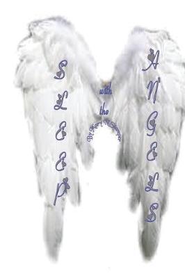 Sleep with the Angels!: Homeless, But Politically Correct!