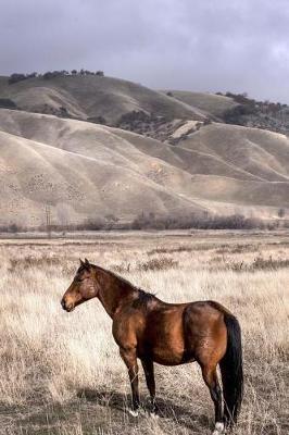 A Beautiful Brown Horse in a Winter Meadow Journal: 150 Page Lined Notebook/Diary