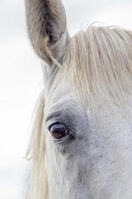 A Wonderful White Horse Up Close Portrait Journal: 150 Page Lined Notebook/Diary